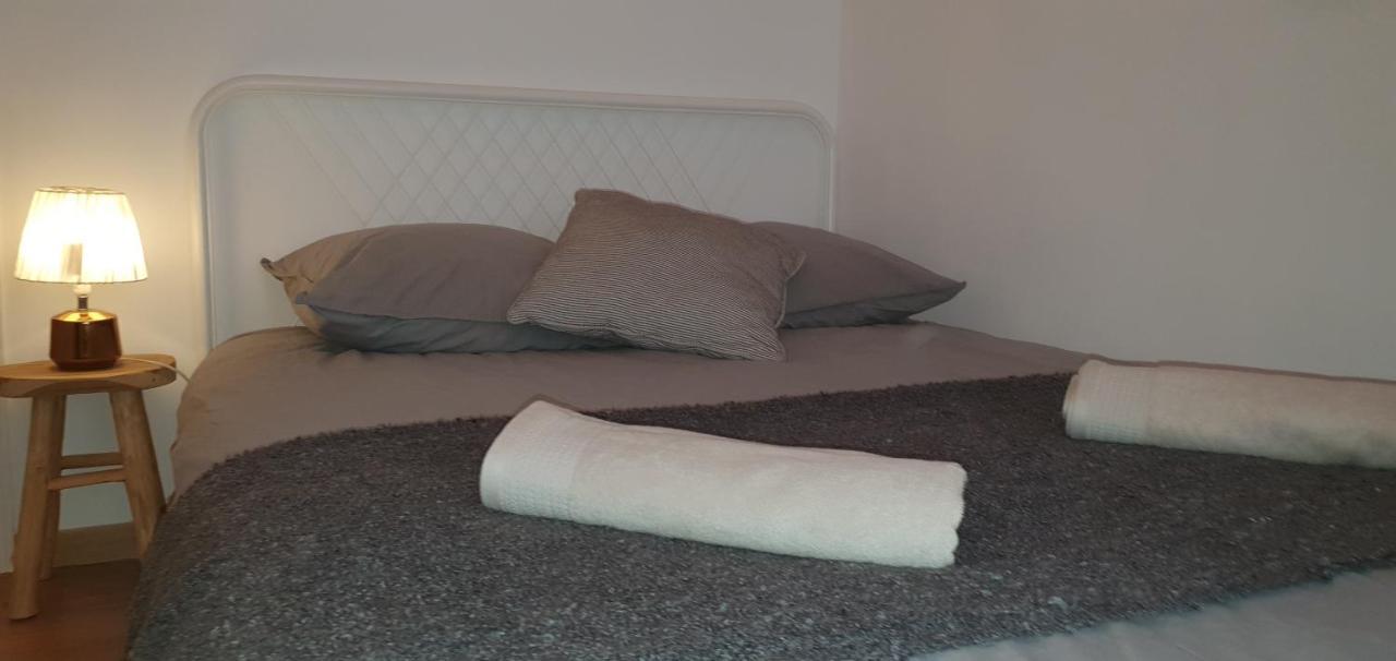 Santocha : Appartement En Plein Coeur De Ville ! Carcassonne Ngoại thất bức ảnh