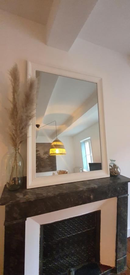 Santocha : Appartement En Plein Coeur De Ville ! Carcassonne Ngoại thất bức ảnh