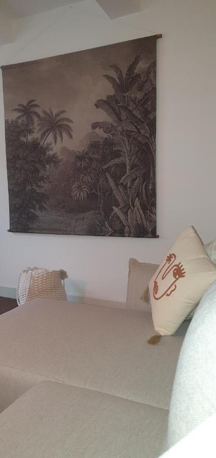 Santocha : Appartement En Plein Coeur De Ville ! Carcassonne Ngoại thất bức ảnh